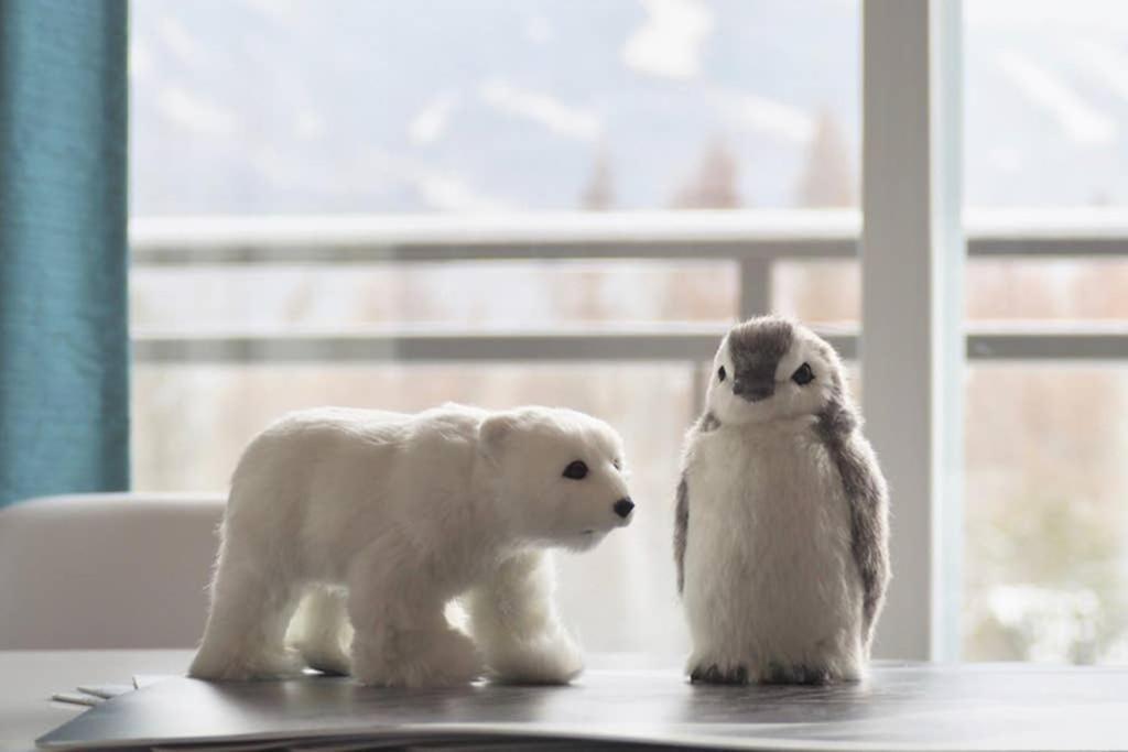 Initial - Forest Friends - Mont-Sainte-Anne بيوبره المظهر الخارجي الصورة